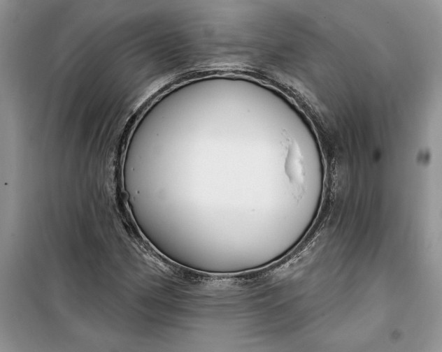 X0000099521162200805291205