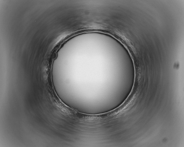 X0000099521163200805291205