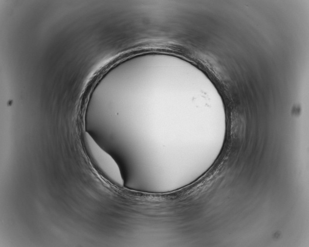 X0000099521164200805291205