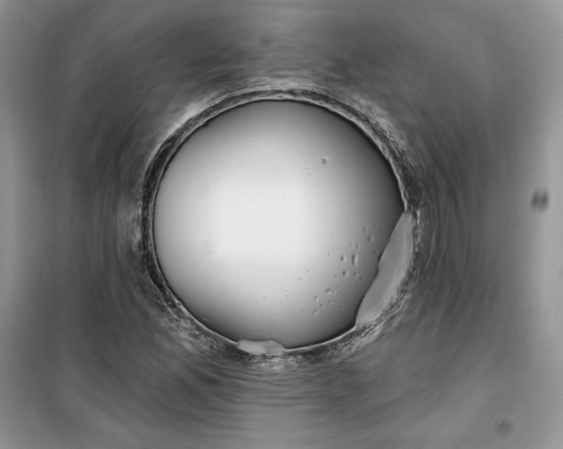 X0000099521165200805291205