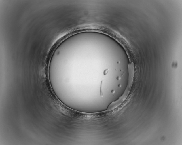 X0000099521166200805291205