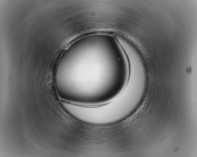 X0000099521169200805291205