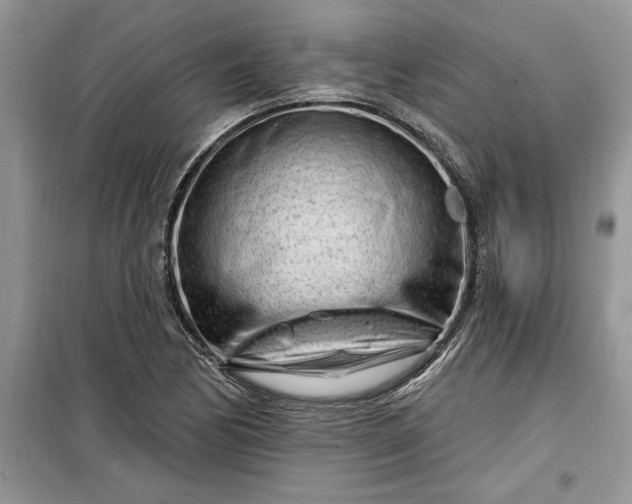 X0000099521170200805291205