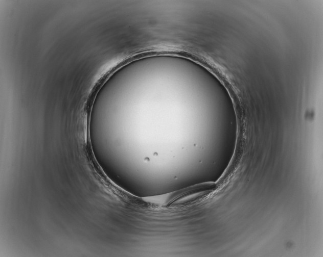 X0000099521171200805291205