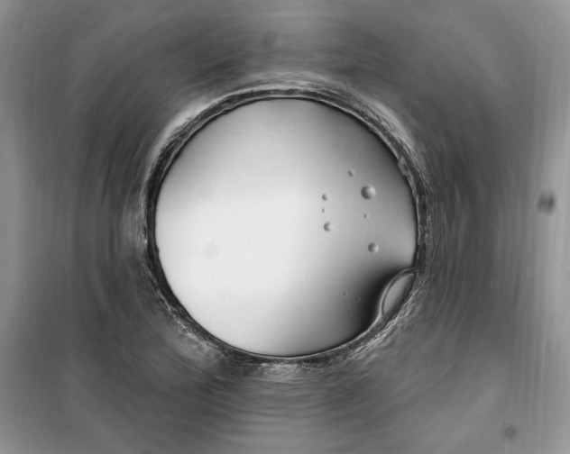 X0000099521172200805291205