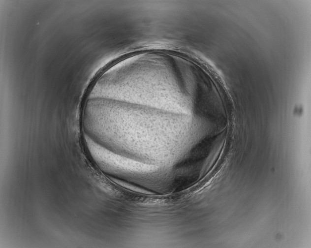 X0000099521174200805291205