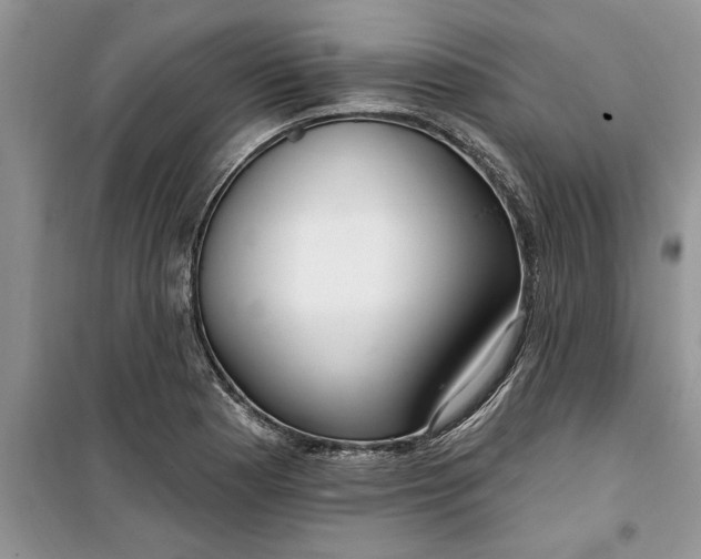 X0000099521177200805291205