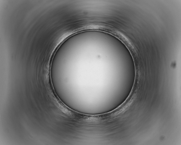 X0000099521178200805291205