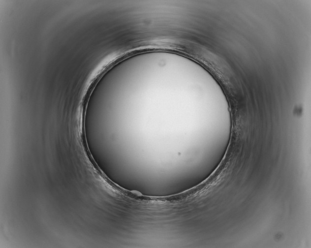 X0000099521180200805291205