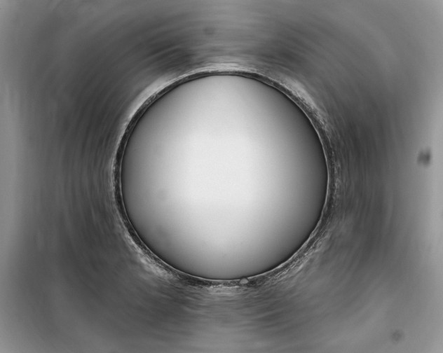 X0000099521181200805291205