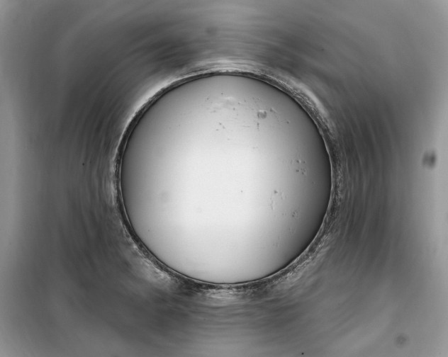 X0000099521182200805291205