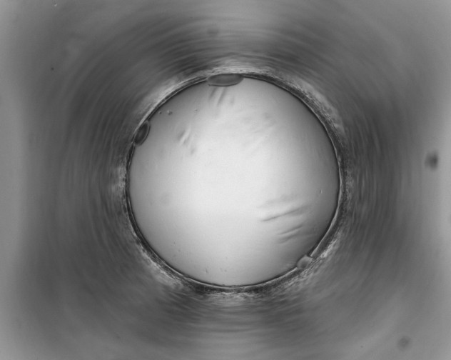 X0000099521185200805291205