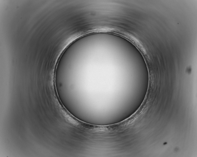 X0000099521186200805291205