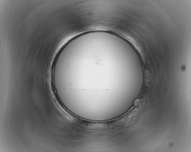 X0000099521187200805291205