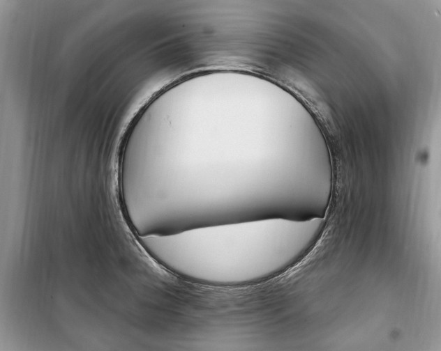 X0000099521188200805291205