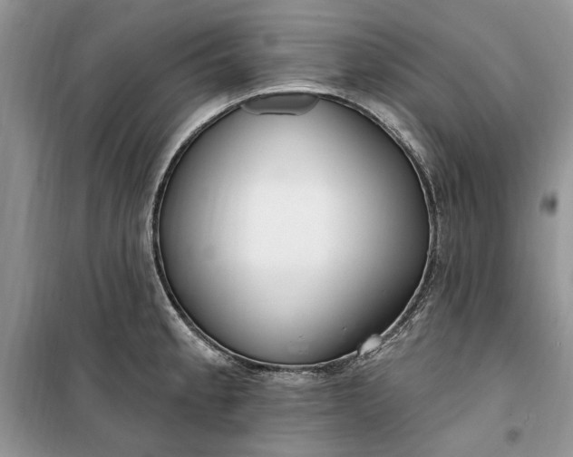 X0000099521189200805291205