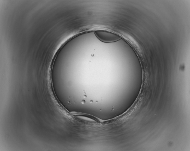 X0000099521190200805291205