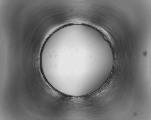 X0000099521191200805291205