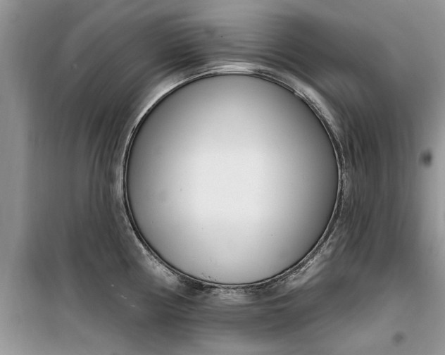 X0000099521194200805291205