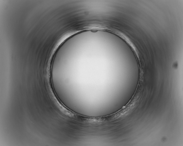 X0000099521195200805291205