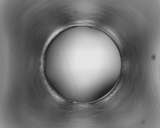 X0000099521196200805291205