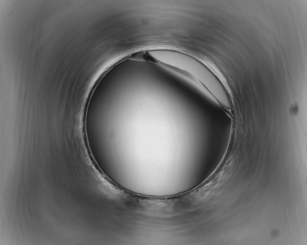 X0000099521197200805291205