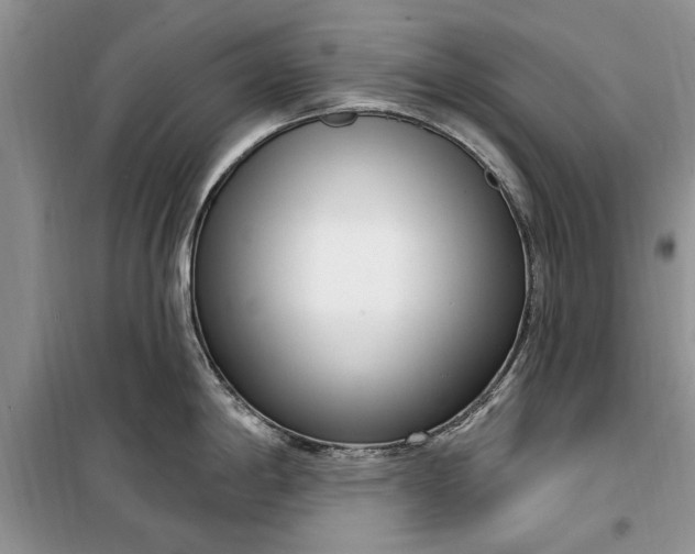 X0000099521198200805291205