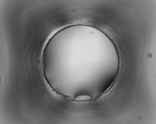 X0000099521200200805291205