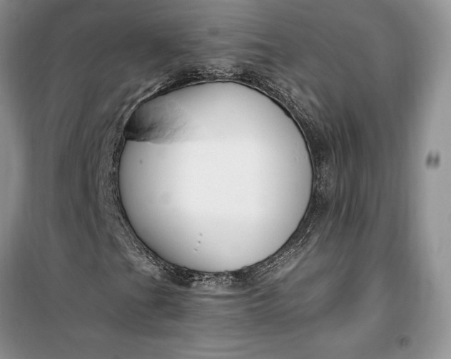 X0000099521201200805291204