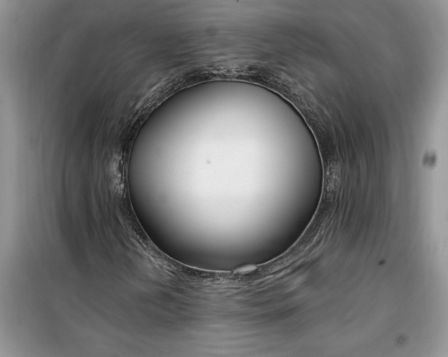 X0000099521202200805291204