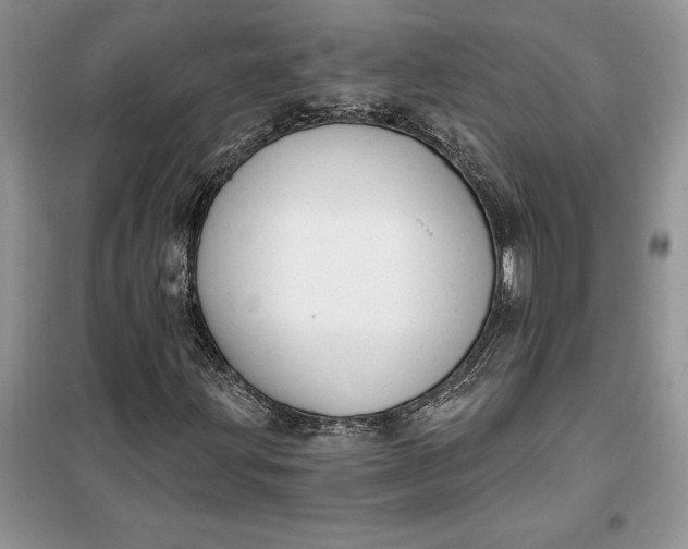 X0000099521203200805291204