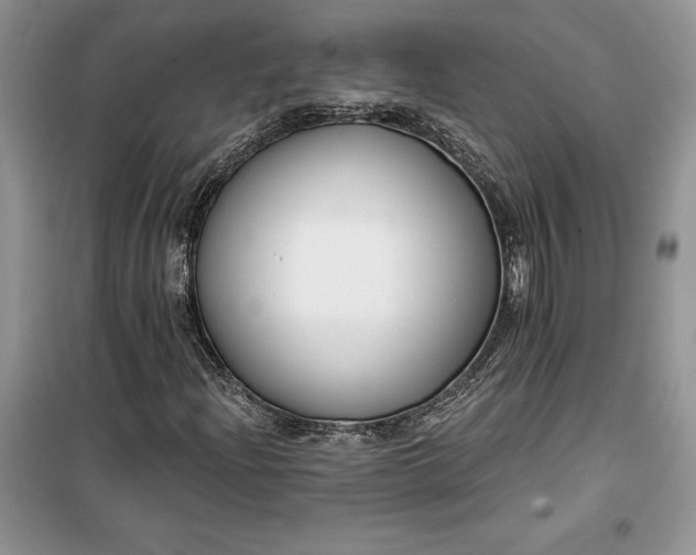 X0000099521204200805291204