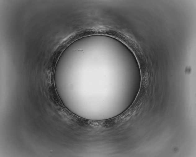 X0000099521205200805291204