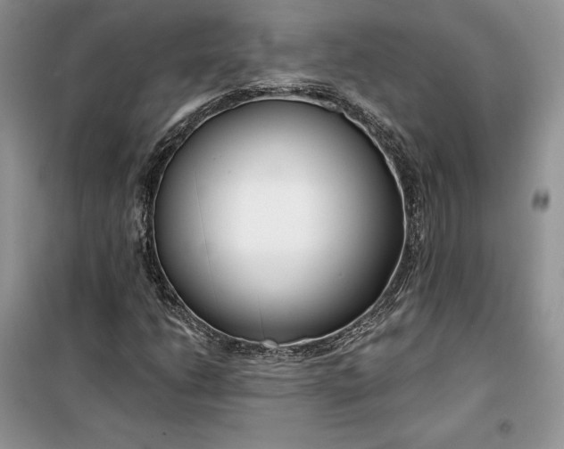 X0000099521206200805291204