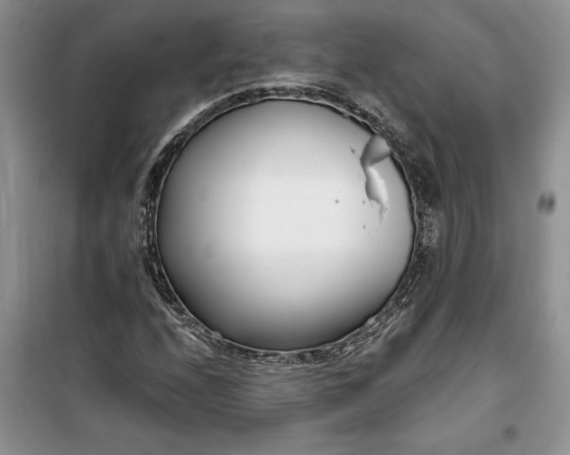 X0000099521208200805291204