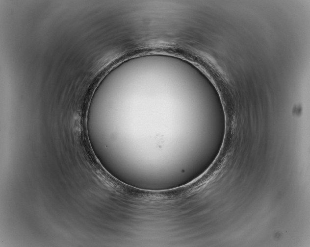 X0000099521209200805291204