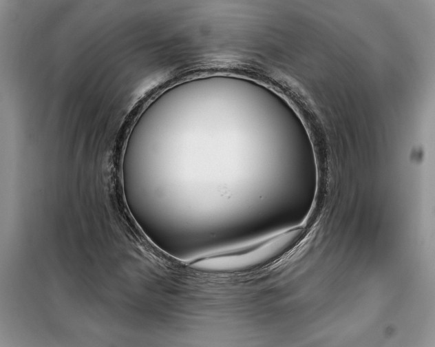 X0000099521210200805291204