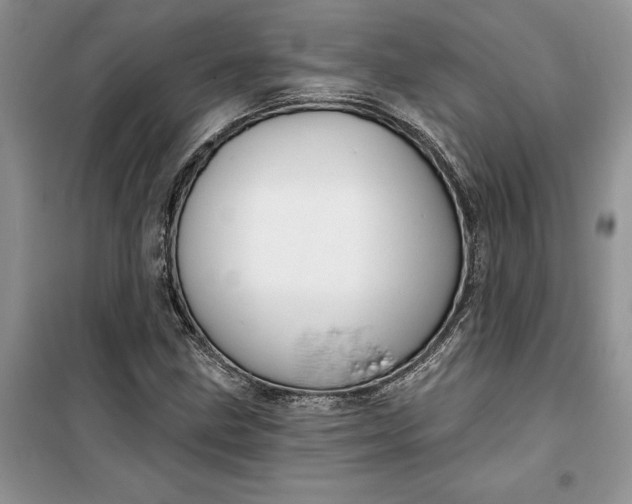 X0000099521211200805291204