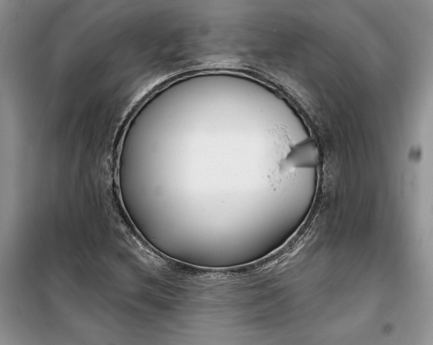 X0000099521212200805291204