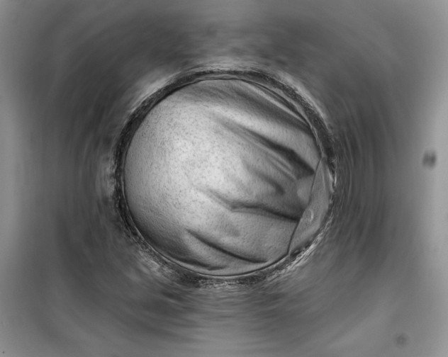 X0000099521213200805291204