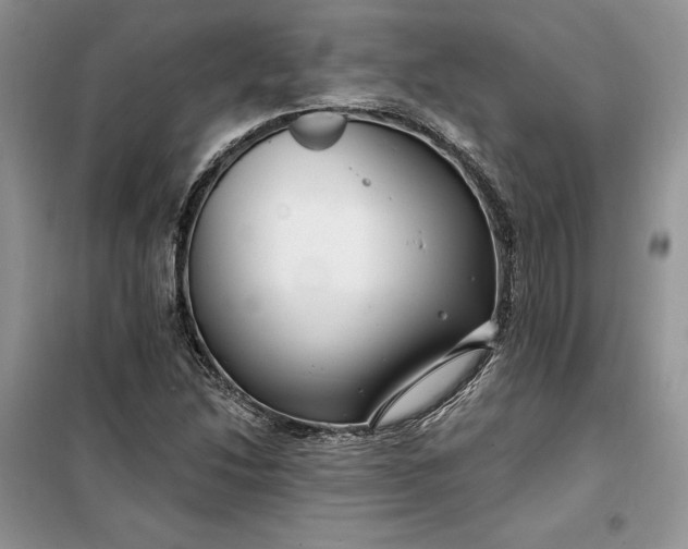 X0000099521214200805291204