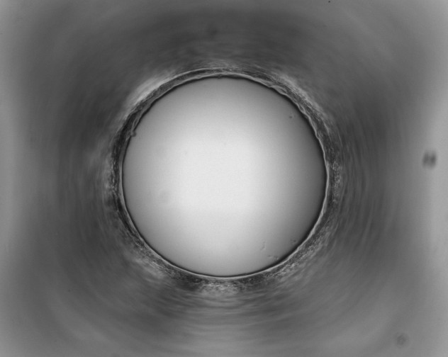 X0000099521215200805291204