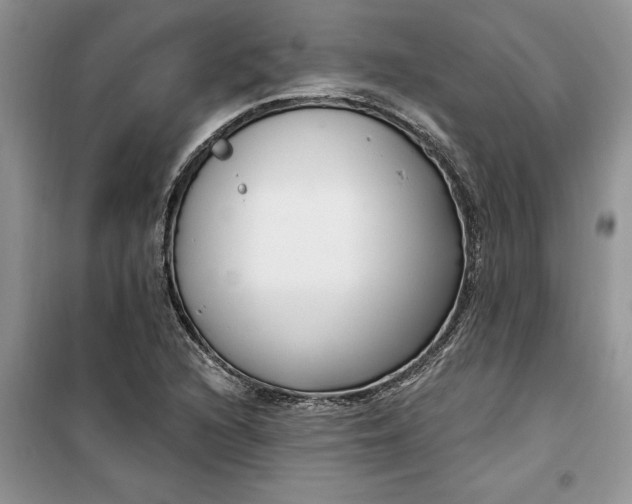 X0000099521216200805291204