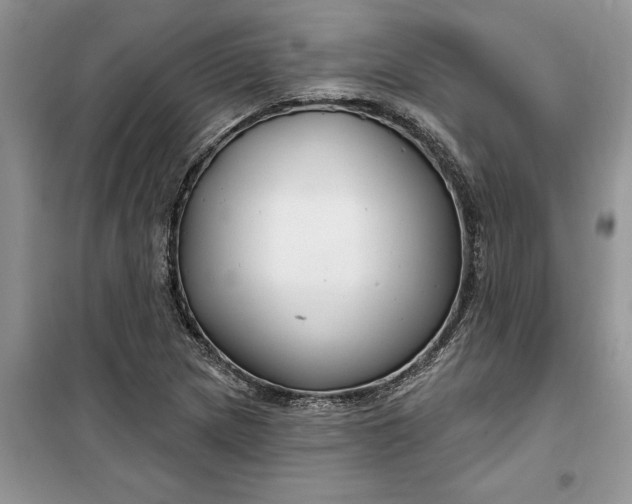 X0000099521217200805291204