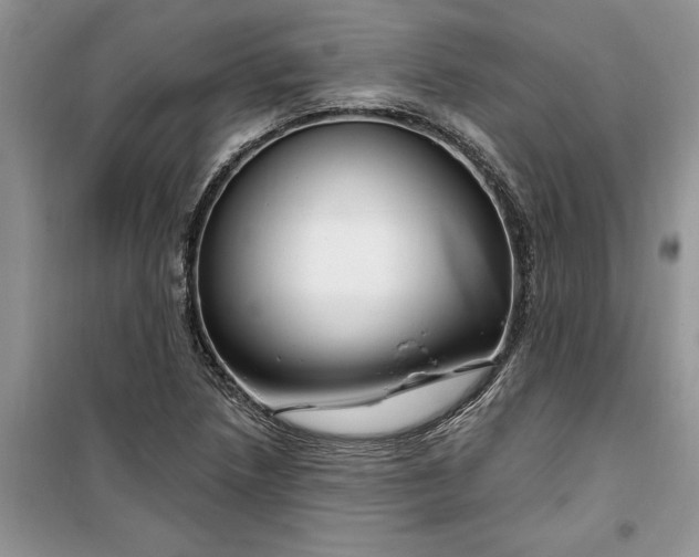 X0000099521218200805291204