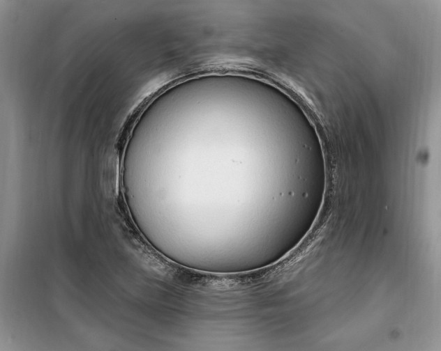 X0000099521219200805291204