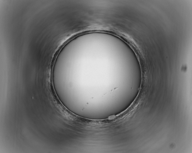 X0000099521220200805291204