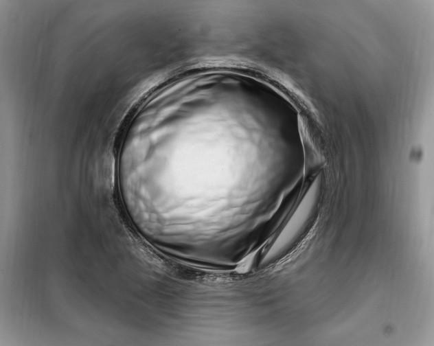 X0000099521221200805291204