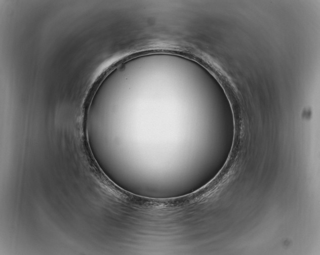 X0000099521222200805291204