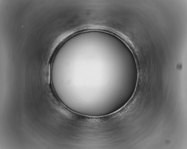 X0000099521223200805291204